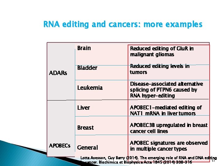 RNA editing and cancers: more examples ADARs APOBECs Brain Reduced editing of Glu. R