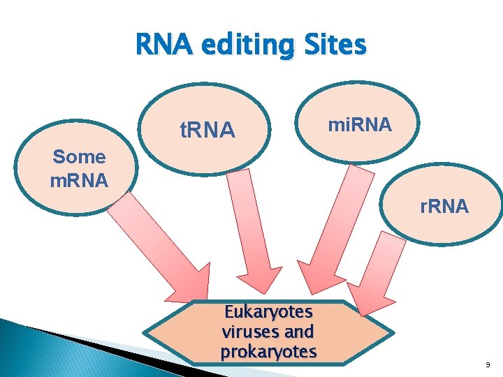 RNA editing Sites t. RNA mi. RNA Some m. RNA r. RNA Eukaryotes viruses