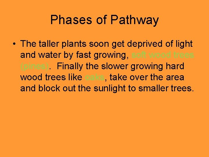 Phases of Pathway • The taller plants soon get deprived of light and water