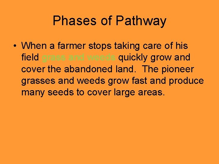 Phases of Pathway • When a farmer stops taking care of his field grass