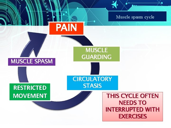 Muscle spasm cycle PAIN MUSCLE SPASM RESTRICTED MOVEMENT MUSCLE GUARDING CIRCULATORY STASIS THIS CYCLE