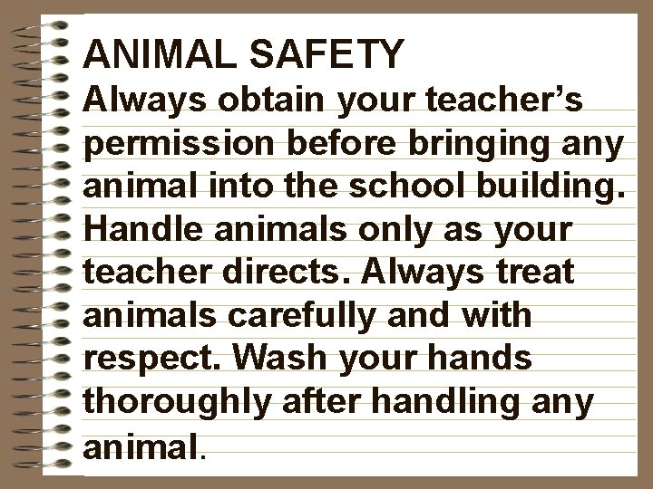 ANIMAL SAFETY Always obtain your teacher’s permission before bringing any animal into the school