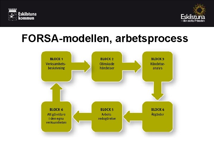 FORSA-modellen, arbetsprocess 