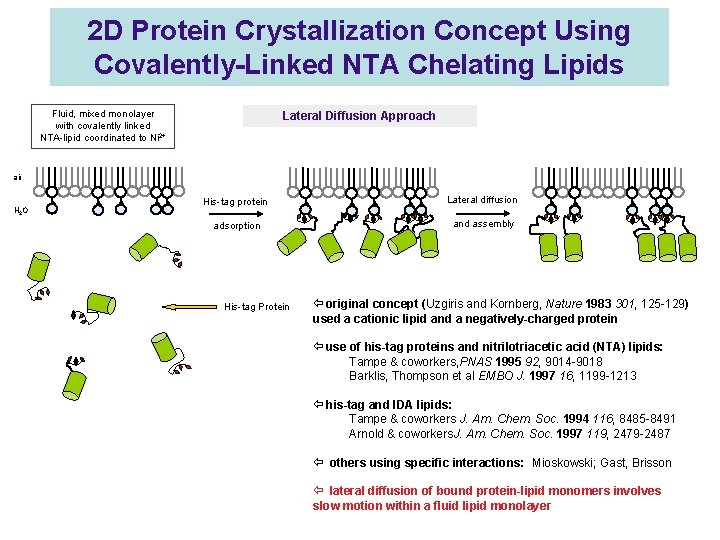 2 D Protein Crystallization Concept Using Covalently-Linked NTA Chelating Lipids Fluid, mixed monolayer with