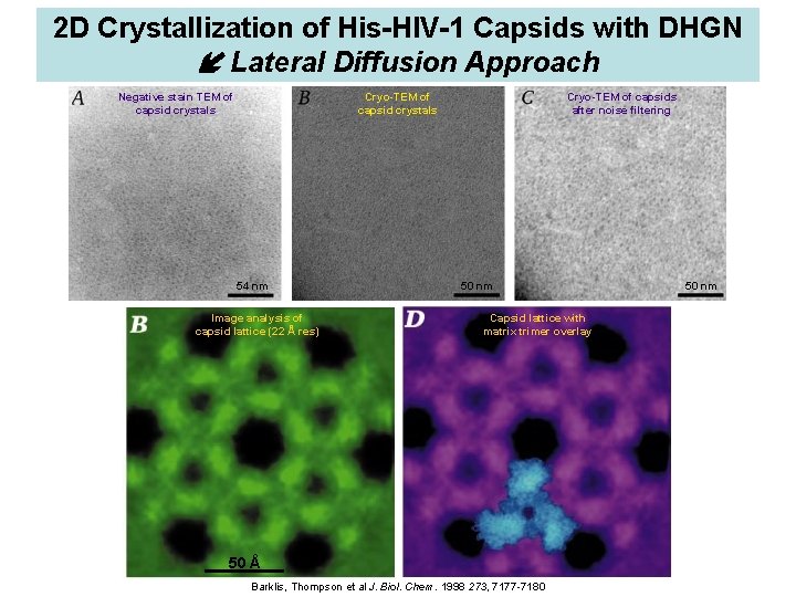 2 D Crystallization of His-HIV-1 Capsids with DHGN Lateral Diffusion Approach Negative stain TEM