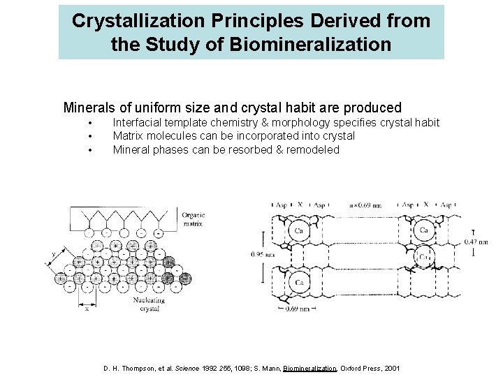 Crystallization Principles Derived from the Study of Biomineralization Minerals of uniform size and crystal