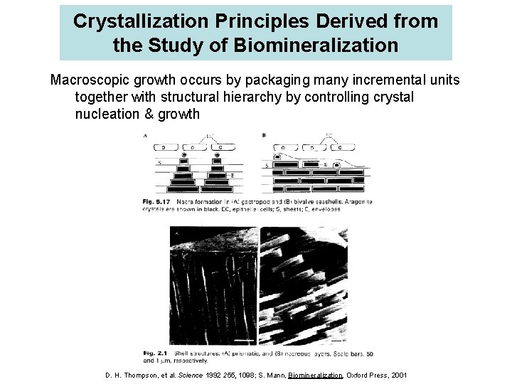 Crystallization Principles Derived from the Study of Biomineralization Macroscopic growth occurs by packaging many