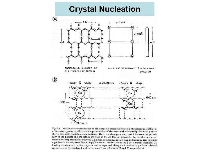 Crystal Nucleation 