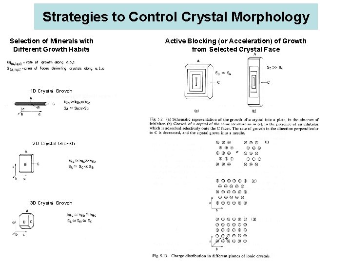 Strategies to Control Crystal Morphology Selection of Minerals with Different Growth Habits 1 D