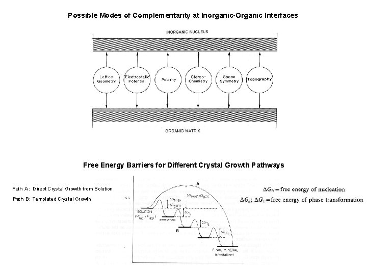 Possible Modes of Complementarity at Inorganic-Organic Interfaces Free Energy Barriers for Different Crystal Growth