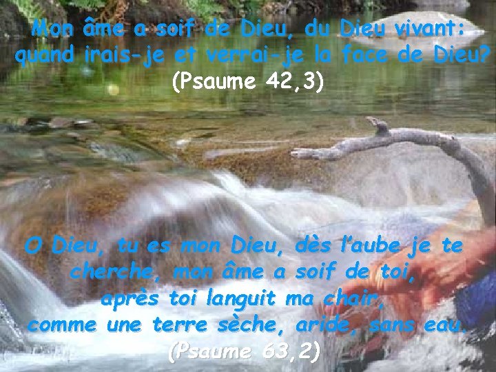 Mon âme a soif de Dieu, du Dieu vivant: quand irais-je et verrai-je la