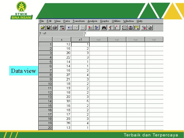 Data view 