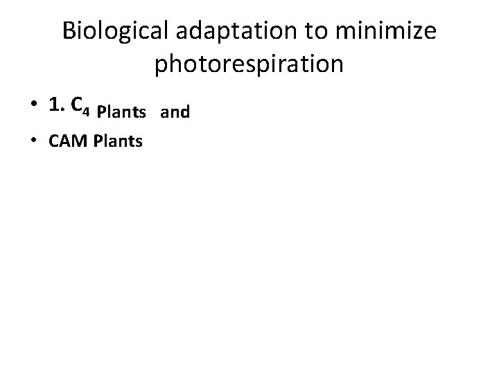 Biological adaptation to minimize photorespiration • 1. C 4 Plants and • CAM Plants