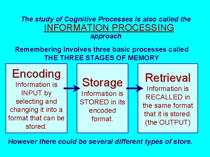 The study of Cognitive Processes is also called the INFORMATION PROCESSING approach Remembering involves