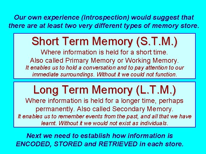 Our own experience (Introspection) would suggest that there at least two very different types