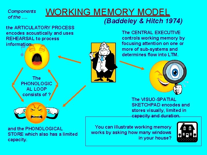 Components of the …. WORKING MEMORY MODEL the ARTICULATORY PROCESS encodes acoustically and uses