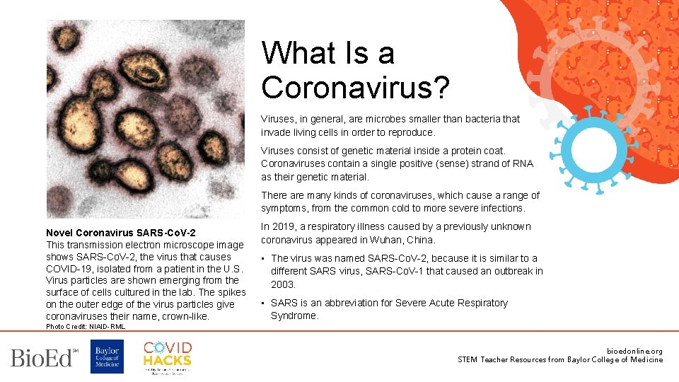 What Is a Coronavirus? Viruses, in general, are microbes smaller than bacteria that invade