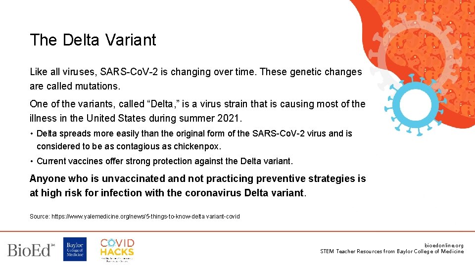 The Delta Variant Like all viruses, SARS-Co. V-2 is changing over time. These genetic