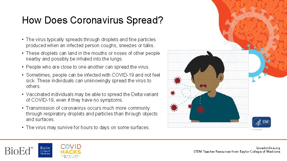 How Does Coronavirus Spread? • The virus typically spreads through droplets and fine particles