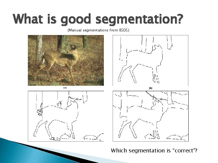 What is good segmentation? (Manual segmentations from BSDS) Which segmentation is “correct”? 