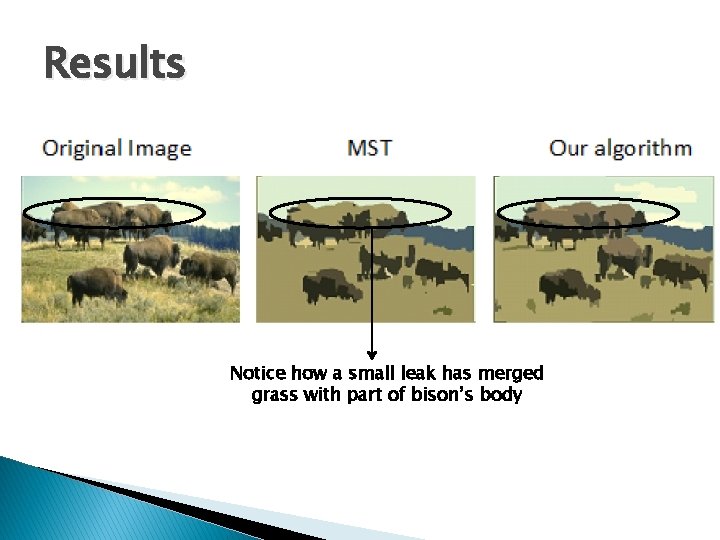 Results Notice how a small leak has merged grass with part of bison’s body
