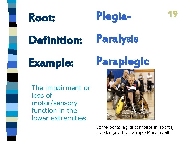 Root: Plegia- Definition: Paralysis Example: Paraplegic 19 The impairment or loss of motor/sensory function