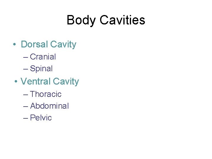 Body Cavities • Dorsal Cavity – Cranial – Spinal • Ventral Cavity – Thoracic