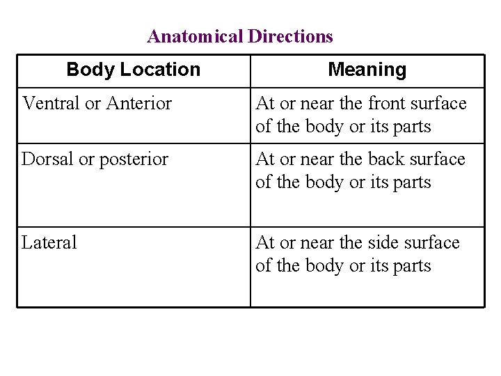 Anatomical Directions Body Location Meaning Ventral or Anterior At or near the front surface