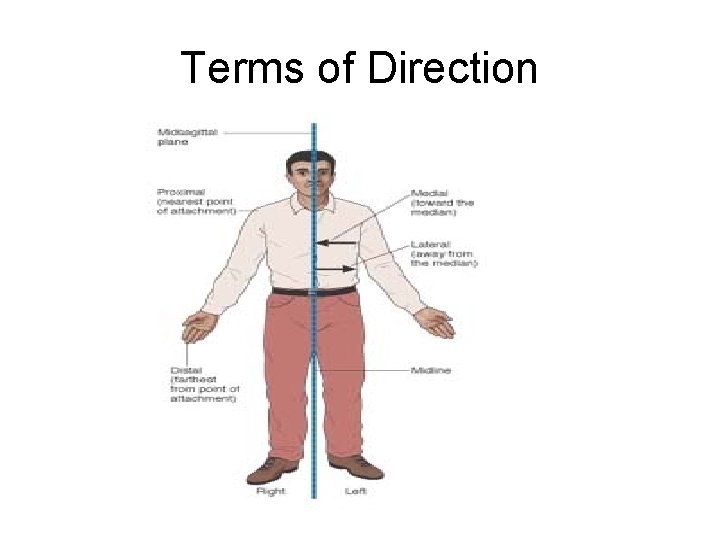 Terms of Direction 