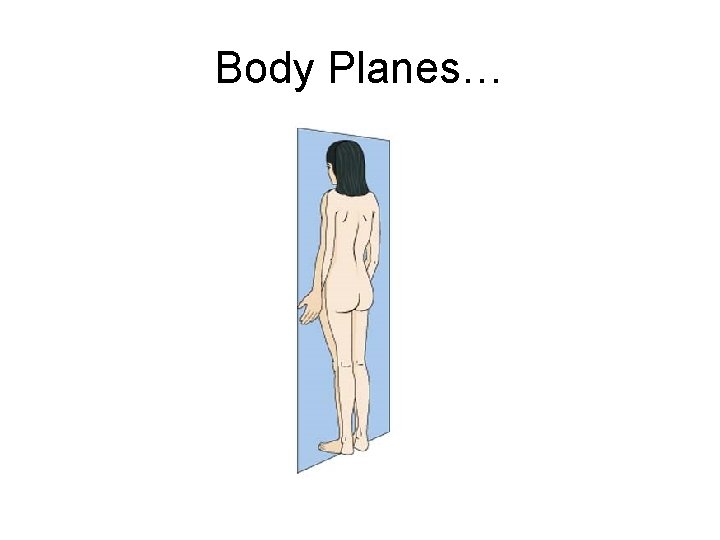 Body Planes… 