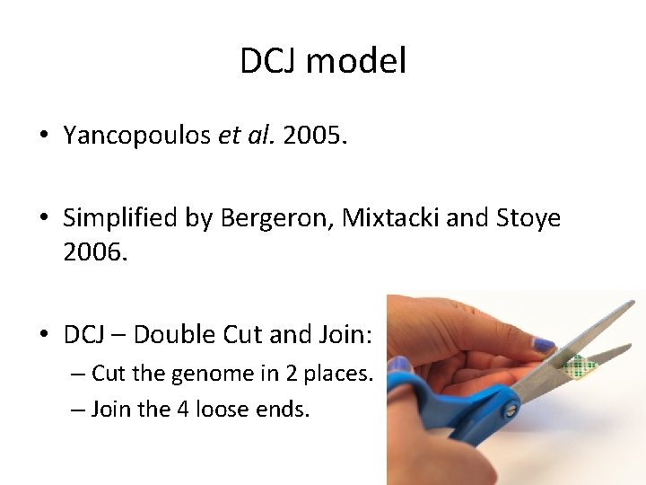 DCJ model • Yancopoulos et al. 2005. • Simplified by Bergeron, Mixtacki and Stoye