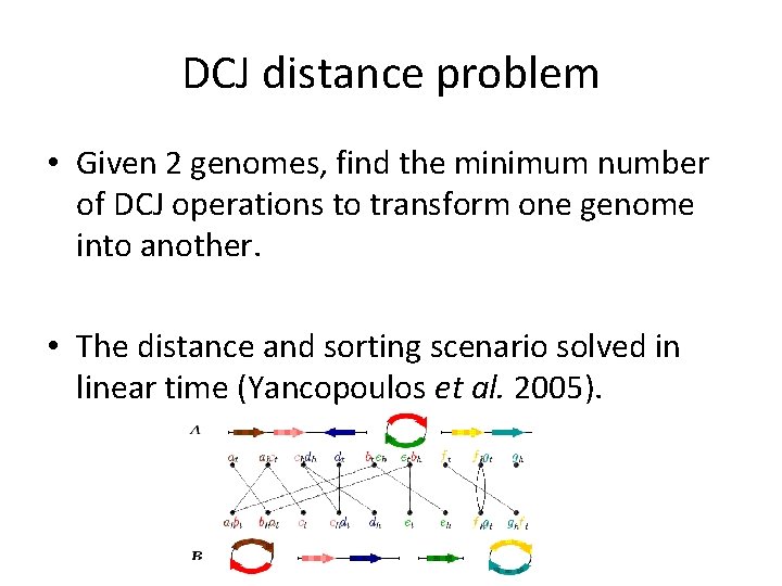 DCJ distance problem • Given 2 genomes, find the minimum number of DCJ operations