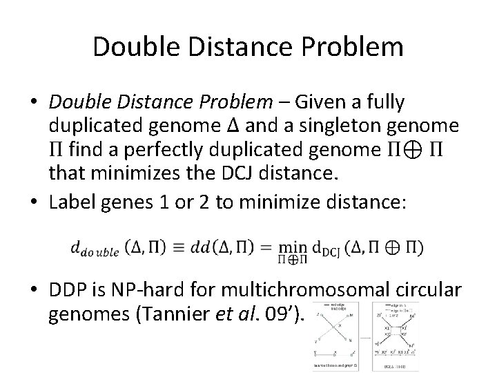 Double Distance Problem • Double Distance Problem – Given a fully duplicated genome Δ