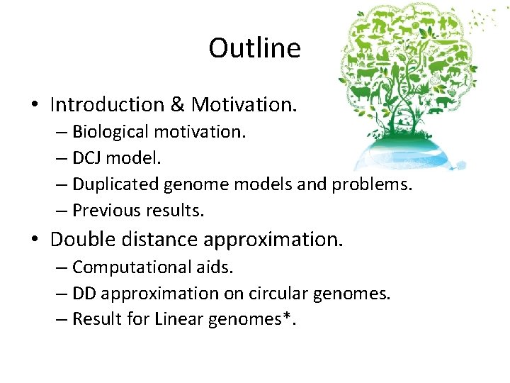 Outline • Introduction & Motivation. – Biological motivation. – DCJ model. – Duplicated genome