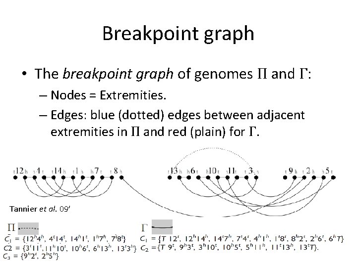 Breakpoint graph • The breakpoint graph of genomes Π and Γ: – Nodes =