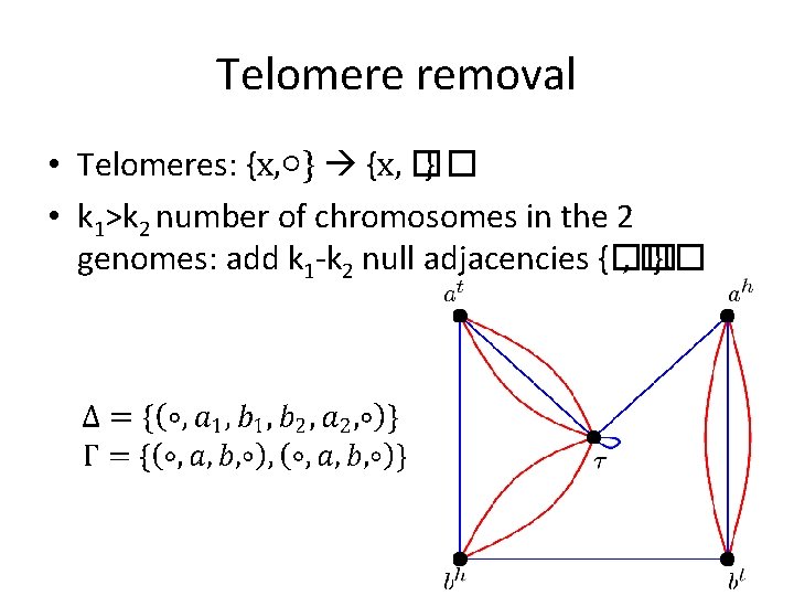 Telomere removal • Telomeres: {x, ○} {x, �� } • k 1>k 2 number