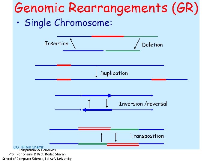 Computational Genomics Prof. Ron Shamir & Prof. Roded Sharan School of Computer Science, Tel