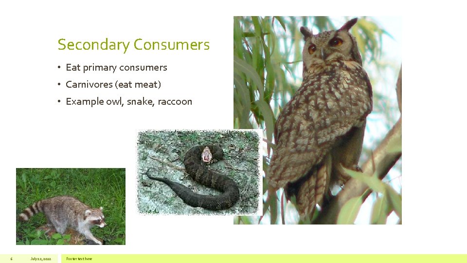 Life Science Content Standard for Fourth Grade Build