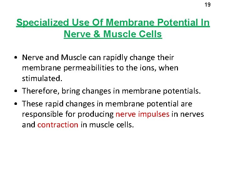 19 Specialized Use Of Membrane Potential In Nerve & Muscle Cells • Nerve and