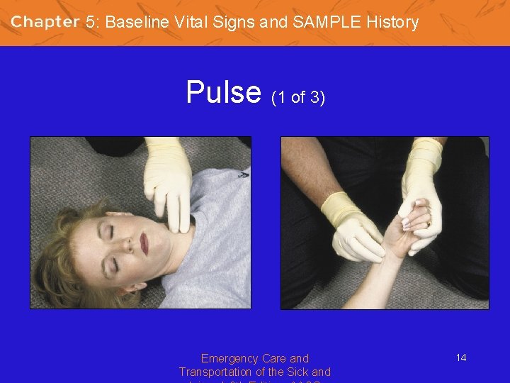 5: Baseline Vital Signs and SAMPLE History Pulse (1 of 3) Emergency Care and