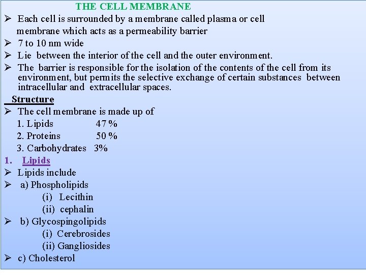 THE CELL MEMBRANE Ø Each cell is surrounded by a membrane called plasma or