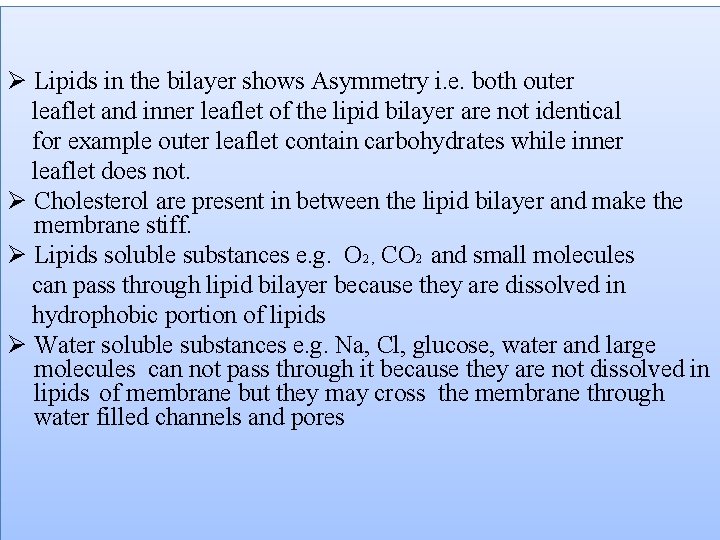Ø Lipids in the bilayer shows Asymmetry i. e. both outer leaflet and inner