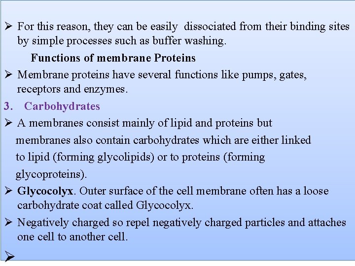 Ø For this reason, they can be easily dissociated from their binding sites by