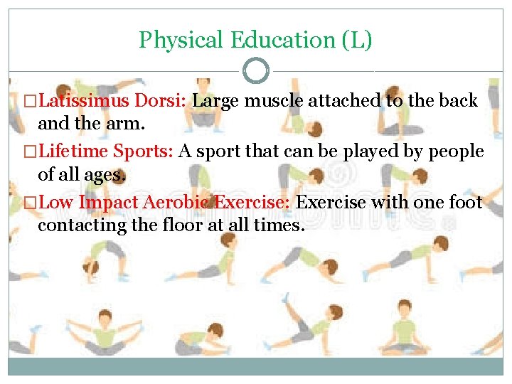 Physical Education (L) �Latissimus Dorsi: Large muscle attached to the back and the arm.