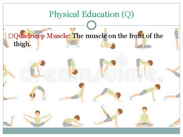 Physical Education (Q) �Quadricep Muscle: The muscle on the front of the thigh. 