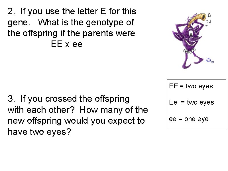 2. If you use the letter E for this gene. What is the genotype