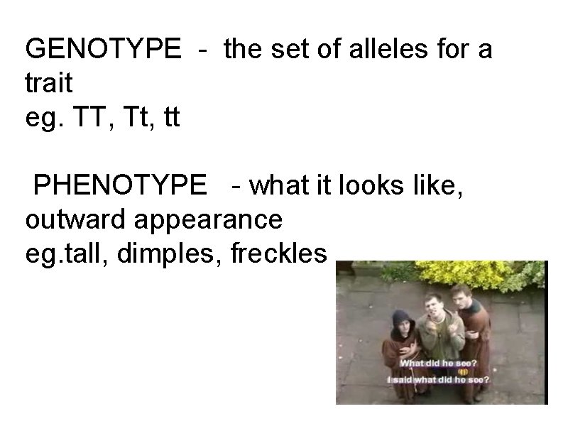GENOTYPE - the set of alleles for a trait eg. TT, Tt, tt PHENOTYPE