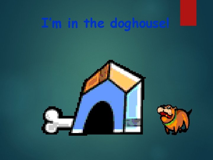 I’m in the doghouse! 