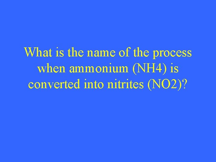 What is the name of the process when ammonium (NH 4) is converted into