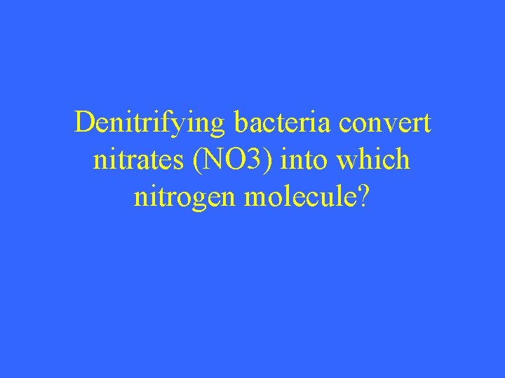 Denitrifying bacteria convert nitrates (NO 3) into which nitrogen molecule? 